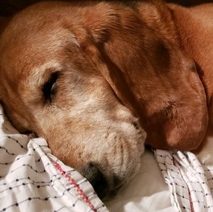 Meet your Posher, Kaitlyn